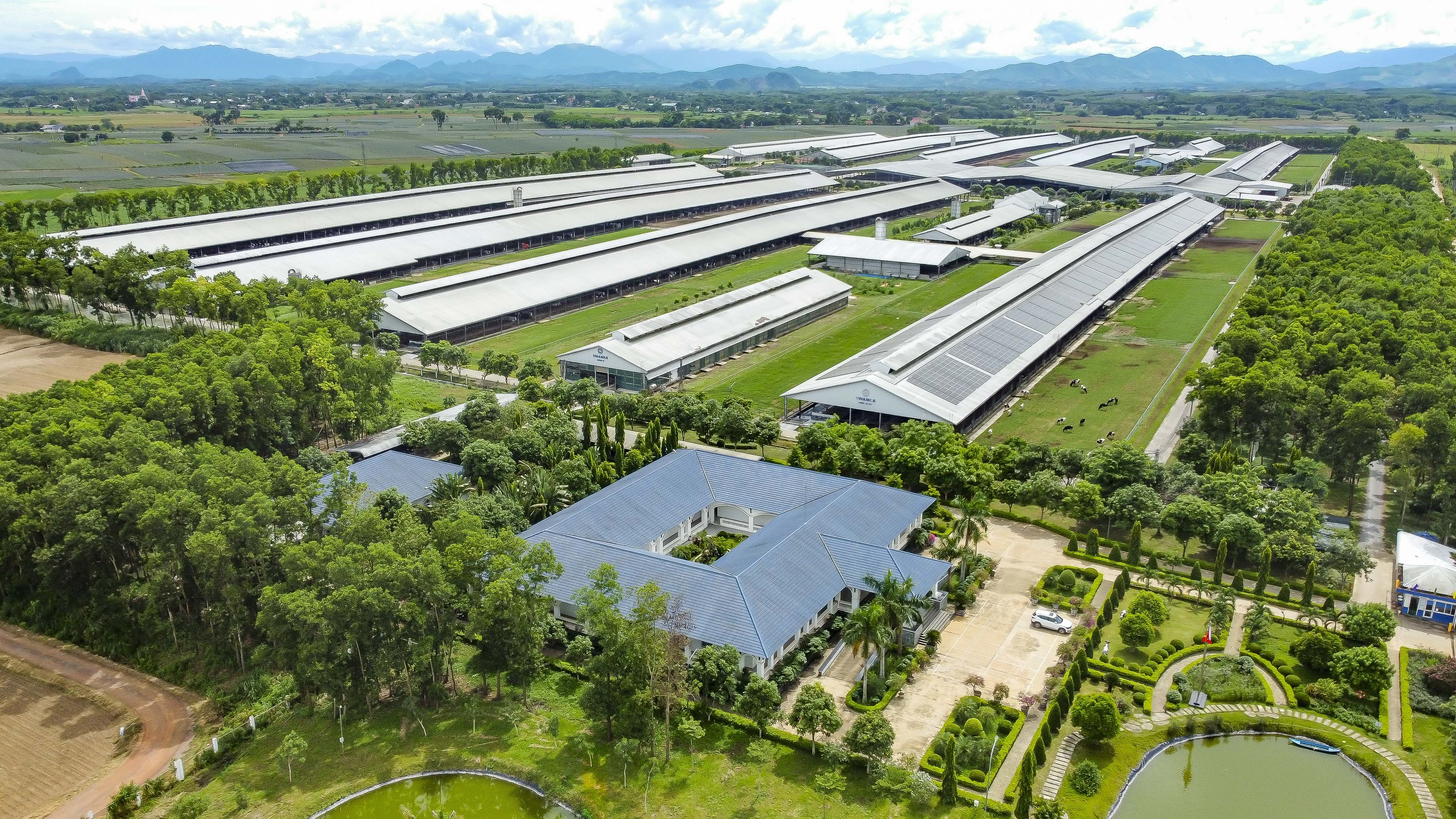 anh-2a-1755500065.jpg