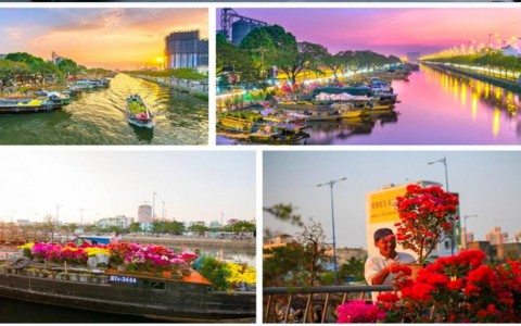 Quận 8: 79 hộ dân tham gia biến dãy nhà Bến Bình Đông trở thành “phố hoa”