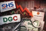 Sau khuyến nghị của Chứng khoán SHS, DGC lần lượt dính khởi tố lãnh đạo và bị cắt margin