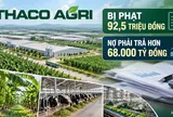 THACO AGRI bị phạt 92,5 triệu đồng, nợ phải trả vượt 68.000 tỷ đồng