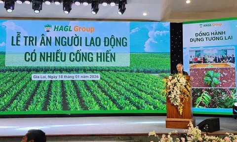 Hao tài tụ nghĩa