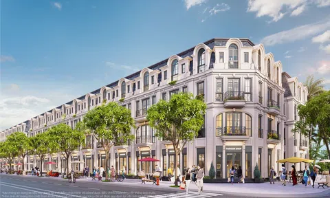 Lý do nhà đầu tư tự tin vào bài toán dòng tiền và thanh khoản dài hạn của Vịnh Tiên