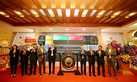 Dragon Capital Việt Nam 2025: Nghịch lý doanh thu nghìn tỷ nhưng lợi nhuận bốc hơi một nửa