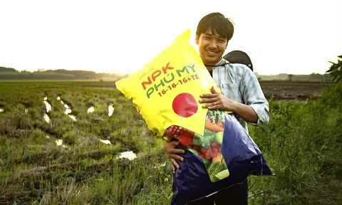 DPM: Lợi nhuận năm 2025 tăng trưởng gấp 2,5 lần, nợ vay và hàng tồn kho tăng mạnh