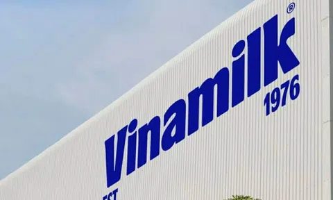 Vinamilk (VNM): Lợi nhuận tỷ đô nhưng dòng tiền đang “kẹt” trong kho