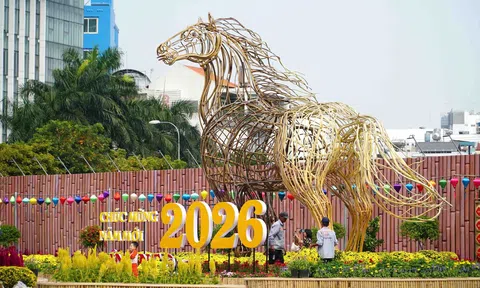 Công viên Hoa Xuân 152 Trần Phú chính thức mở cửa từ ngày 10/02/2026: Thêm điểm check-in cho người dân TP. HCM trong dịp đầu năm mới