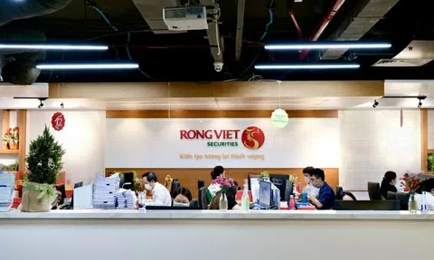 Thanh tra Chính phủ “điểm danh” Chứng khoán Rồng Việt: Vi phạm công bố thông tin trái phiếu