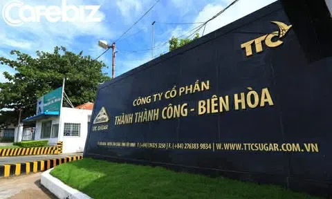 Thanh tra Chính phủ vạch trần loạt sai phạm trái phiếu tại Nhóm Thành Thành Công