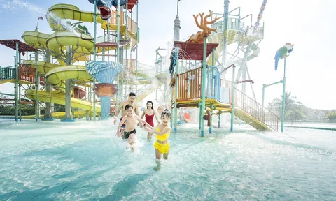 Từ những bước chân an nhiên đến ngôi nhà xanh giữa biển rừng Cần Giờ