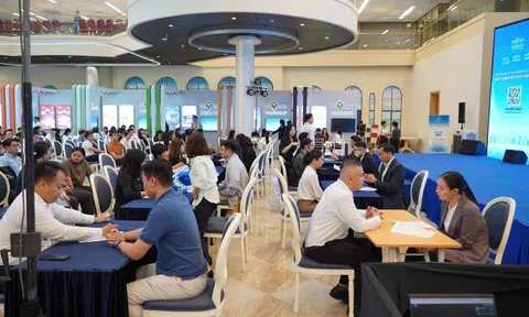 NovaGroup - “Đất dụng võ cho Nhân tài” với chính sách phúc lợi, lộ trình thăng tiến vượt trội