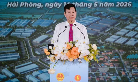 Vinhomes khởi công Dự án đầu tư phát triển kết cấu hạ tầng Khu công nghiệp Nam Tràng Cát