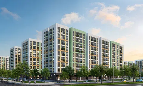 Vingroup phát triển 4.500 căn nhà ở cho thuê tại TP. Hồ Chí Minh
