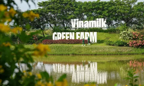 Vinamilk: "Ngôi sao" trong danh mục đầu tư, khẳng định hiệu quả bảo toàn vốn nhà nước