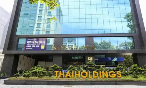 Thaigroup, Thaiholdings thế chấp hơn 4,4 triệu cổ phần Kim Liên: Bài toán vốn phía sau siêu dự án 3,5 tỷ USD