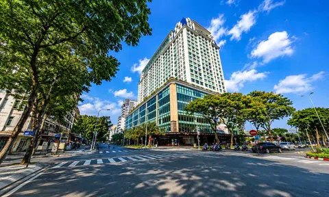 CT Homes đánh cược quá sốc