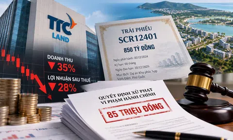 TTC Land bị xử phạt về trái phiếu, lợi nhuận bán niên giảm 28%
