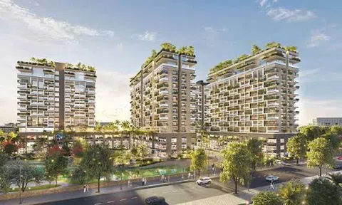 Thang Long Real Group: Nợ thuế hơn 17 tỷ đồng, vốn điều lệ giảm 50% giữa lúc phát triển loạt dự án FIATO
