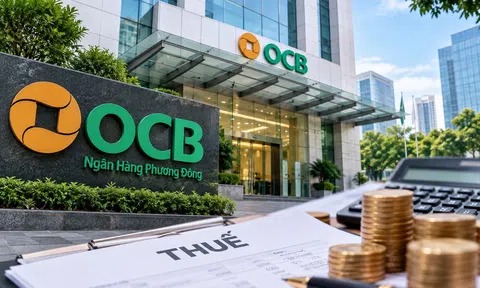 OCB phải nộp bổ sung hơn 40,6 tỷ đồng nghĩa vụ thuế, nguyên nhân từ đâu?