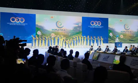 World Tea Connect: Khi ngoại giao văn hóa mở lối cho hợp tác toàn cầu tại Diễn đàn Kinh tế mùa thu 2026