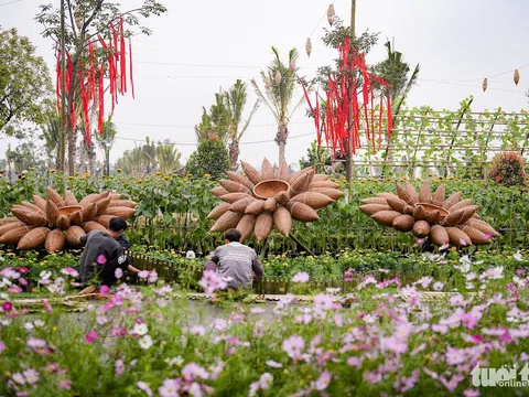 Đường hoa Home Hanoi Xuan 2024 rực sắc trước giờ khai mạc