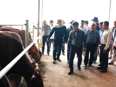 Bộ Nông Lâm Ngư nghiệp Campuchia thăm và làm việc tại KLH Snuol và KLH Koun Mom