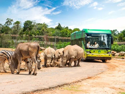 Diệu kỳ hành trình khôn lớn của “hot kid” bé Mây tại Vinpearl Safari Phú Quốc