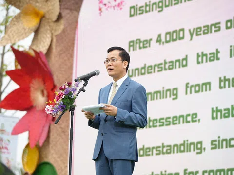 Trải nghiệm Tết Việt tại “Ngày tìm hiểu Việt Nam 2024”