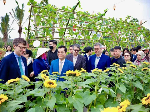 Hàng ngàn lượt khách hào hứng trải nghiệm “Tết triệu sắc Việt, Xuân vạn sinh sôi” trên đường hoa Home Hanoi Xuan 2024