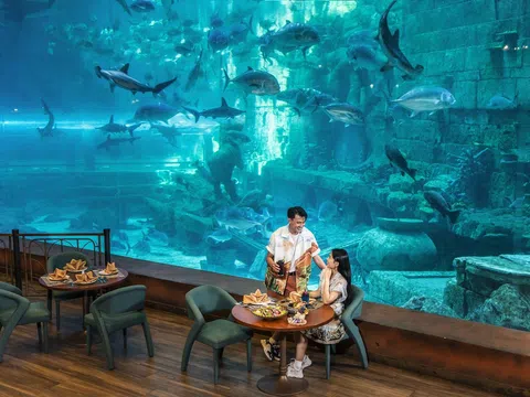 Điều đặc biệt khiến Phú Quốc ngày càng hấp dẫn du khách quốc tế