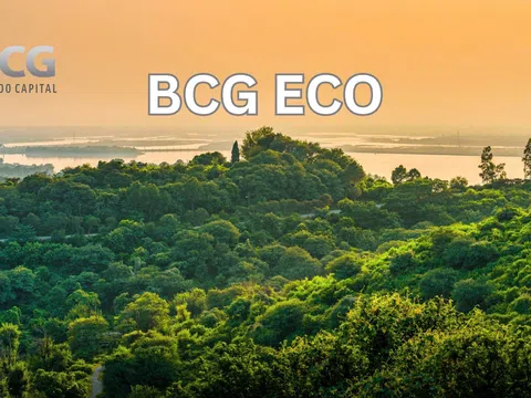 Tập đoàn Bamboo Capital thành lập công ty trồng và chăm sóc rừng BCG Eco