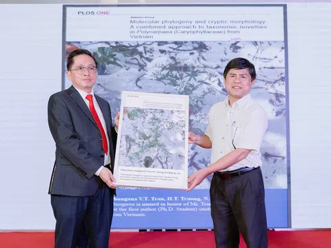 Ấm lòng với lễ tri ân của CT Group đến các thầy cô giáo