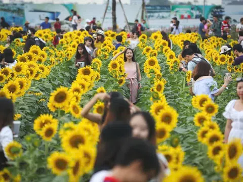 Lễ hội hoa hướng dương lớn nhất từ trước đến nay tại TP. HCM với chủ đề "độc lạ" Miền Viễn Tây nước Mỹ sắp được tổ chức
