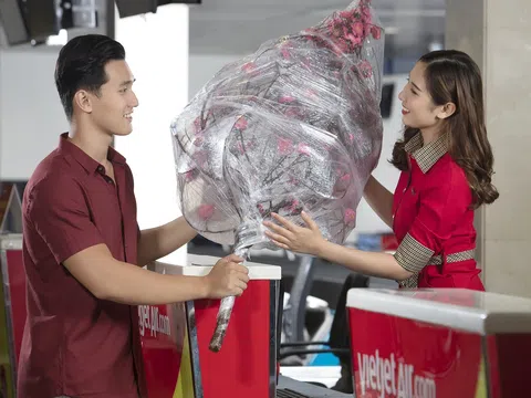 Mang sắc xuân đến muôn nơi, Vietjet vận chuyển mai, đào Tết 2025