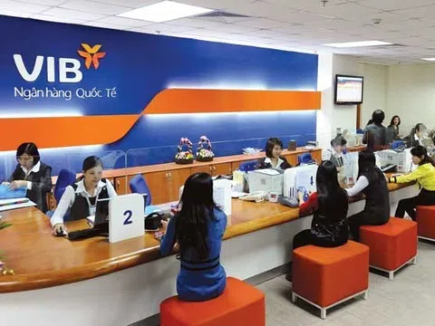 Ngân hàng VIB của đại gia Đông Âu Đặng Khắc Vỹ đối mặt áp lực lớn: Hơn một nửa nợ xấu rơi vào nhóm có khả năng mất vốn