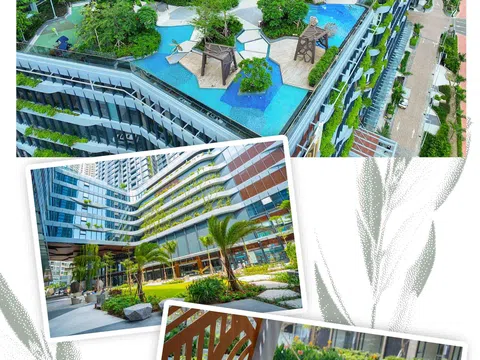 Giá trị sống của giới tinh anh và vị thế trong đô thị hiện đại