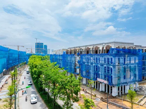 Cập nhật tiến độ xây dựng các dự án trọng điểm trong dòng thấp tầng Noble Palace của Sunshine Group