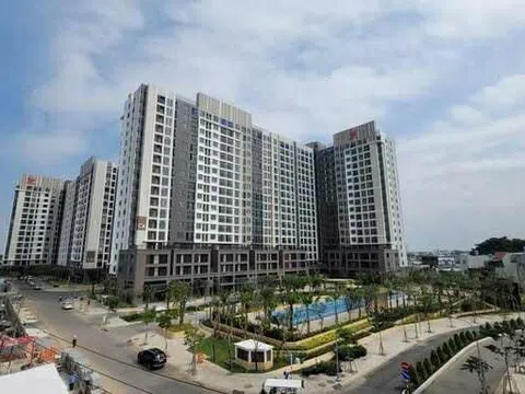 Công ty thành viên Pi Group bị “điểm danh” nợ thuế hơn 347 tỷ đồng!