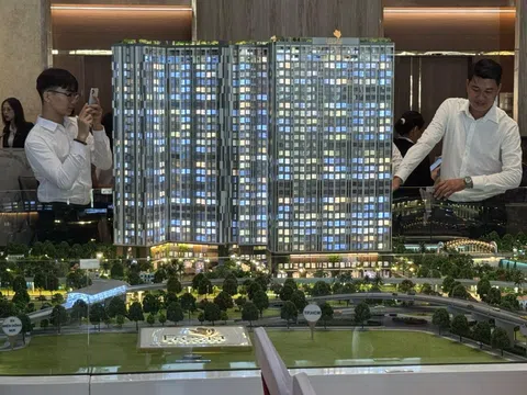 TV Holdings ký kết hợp tác chiến lược Altara Hospitality Group