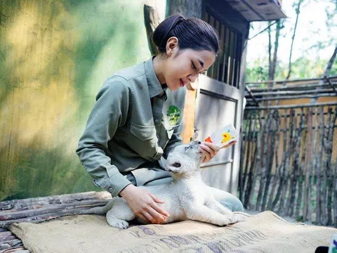 10 năm Vinpearl Safari Phú Quốc: Dấu ấn tiên phong của safari bán hoang dã đầu tiên tại Việt Nam.