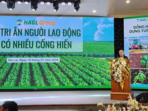 Hao tài tụ nghĩa