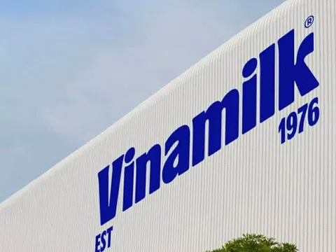 Vinamilk (VNM): Lợi nhuận tỷ đô nhưng dòng tiền đang “kẹt” trong kho