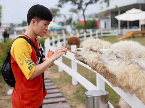 Khám phá “tọa độ du Xuân triệu view” tại The Global City