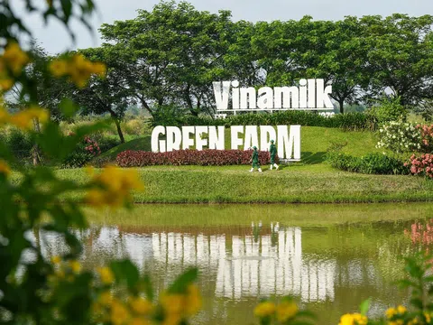 Vinamilk: "Ngôi sao" trong danh mục đầu tư, khẳng định hiệu quả bảo toàn vốn nhà nước