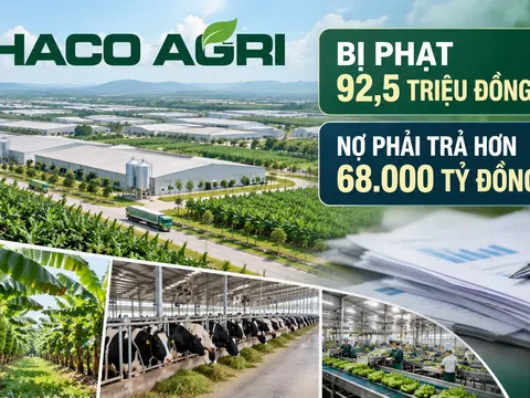 THACO AGRI bị phạt 92,5 triệu đồng, nợ phải trả vượt 68.000 tỷ đồng