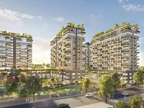 Thang Long Real Group: Nợ thuế hơn 17 tỷ đồng, vốn điều lệ giảm 50% giữa lúc phát triển loạt dự án FIATO